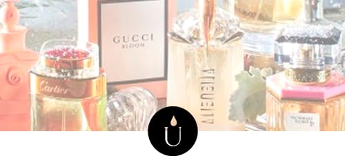Os-10-Perfumes-mais-iconicos-de-todos-os-tempos-banner2